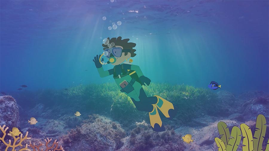 Pearson Education Video Production Company